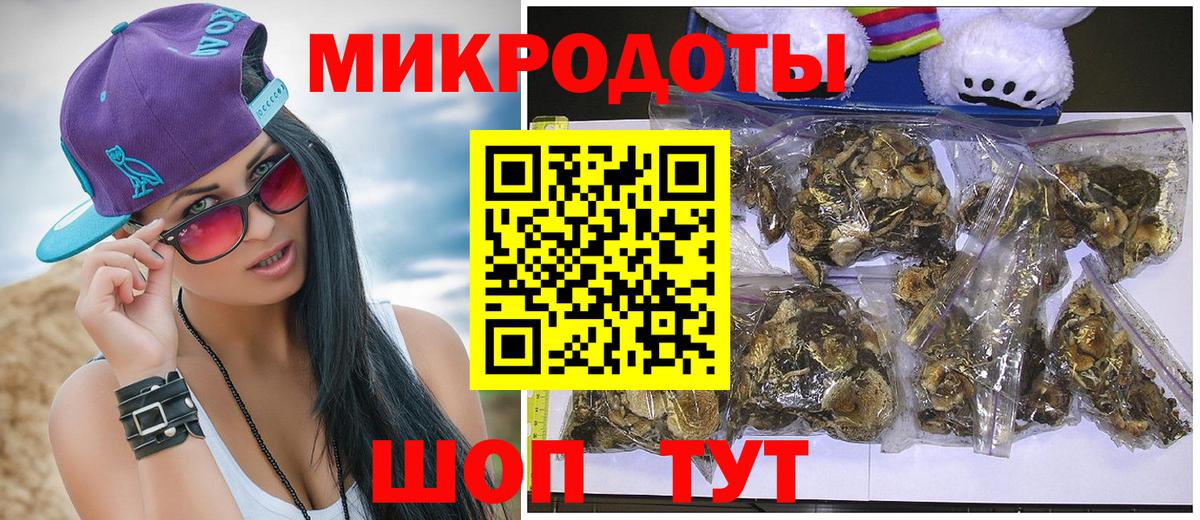 Сыктывкар  Галлюциногенные грибы Psilocybine cubensis  Вход с VPN 