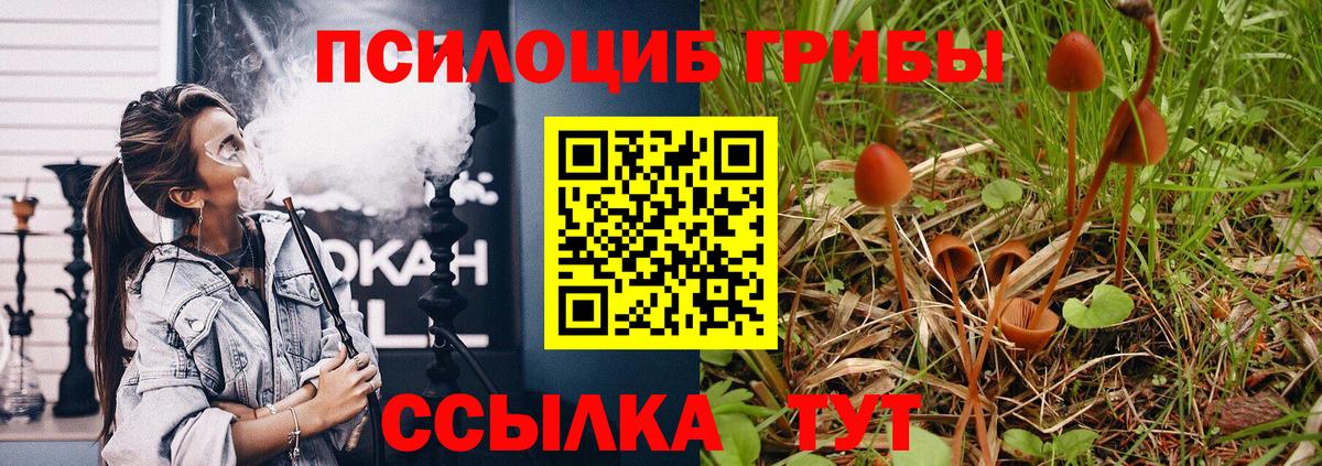 Псилоцибиновые грибы прущие грибы Сыктывкар
